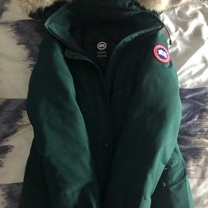 Canada goose